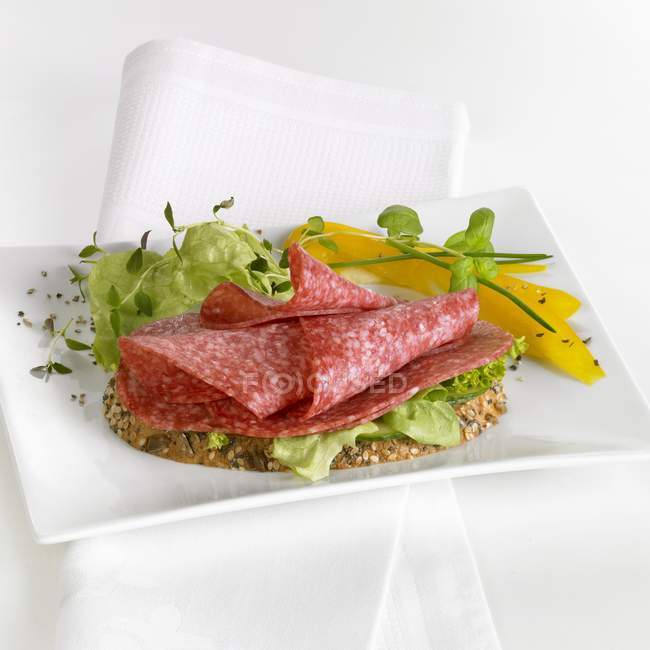 Sandwich de salami abierto - foto de stock