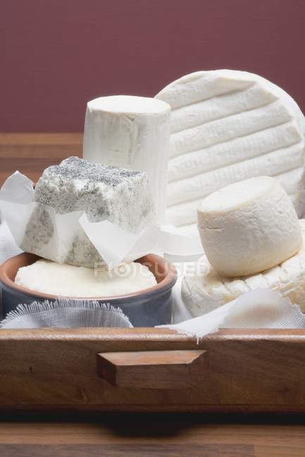Vários queijos macios — Fotografia de Stock
