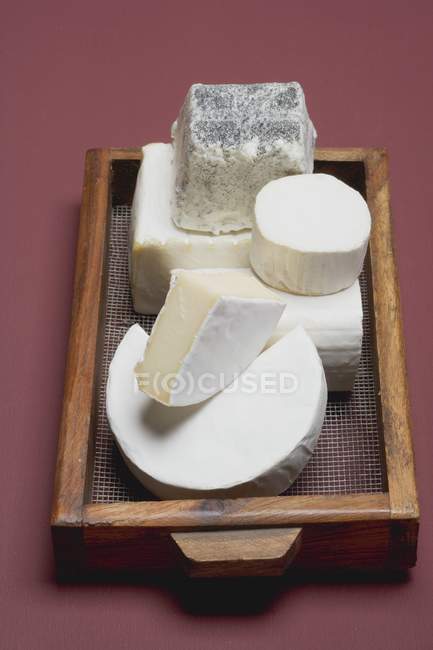 Soft cheese and cheese — Stock Photo