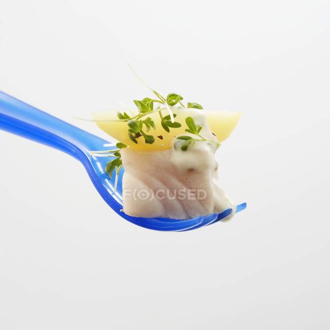 Closeup view of Coley fish with Tartare sauce on fork — Stock Photo