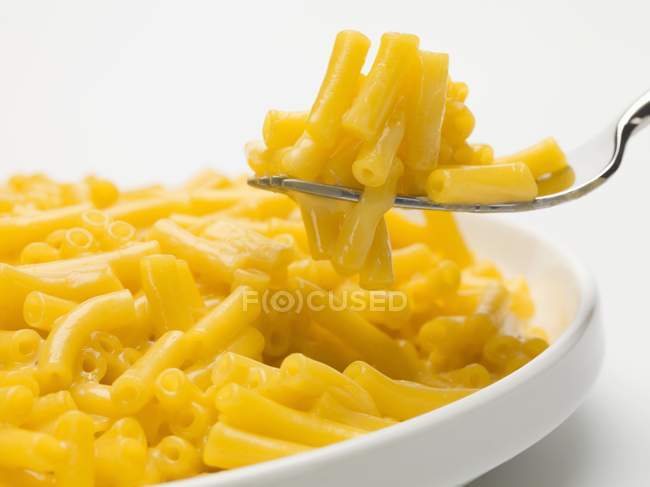 Macarrones y queso frescos - foto de stock