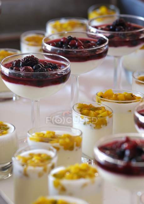 Різні десерти йогурт — стокове фото