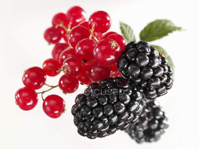Redcurrants and blackberries with leaves — Stock Photo