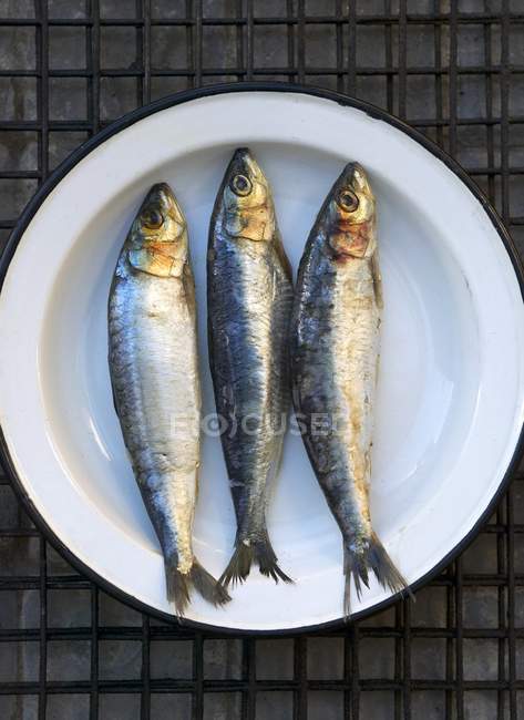 Sardines fraîches dans un bol — Photo de stock