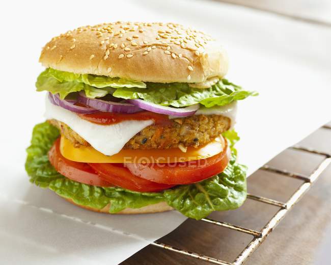 Вегетаріанський бургер з овочевою пиріжкою — стокове фото