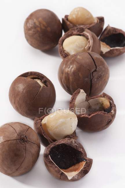 Frutos secos de macadamia en cáscaras - foto de stock