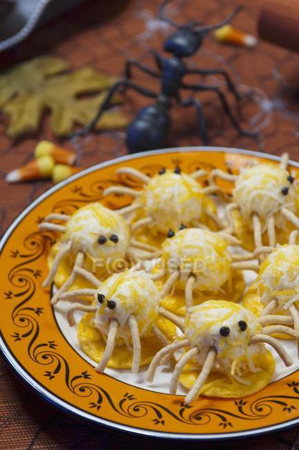 Halloween-Spinnenkäse — Stockfoto