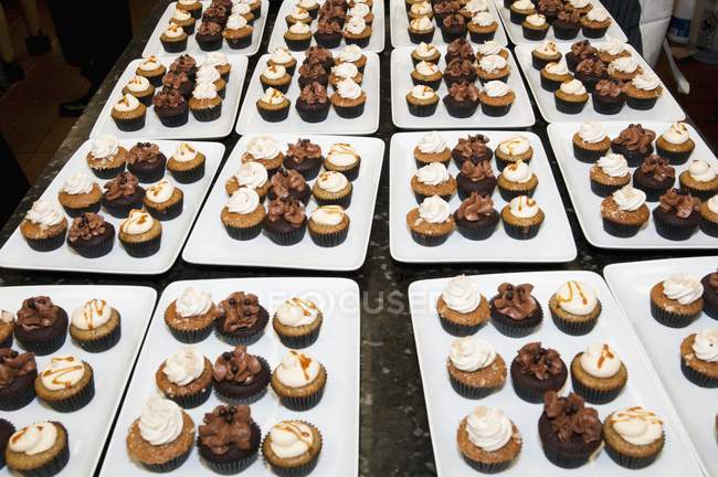 Platten mit verschiedenen Cupcakes — Stockfoto