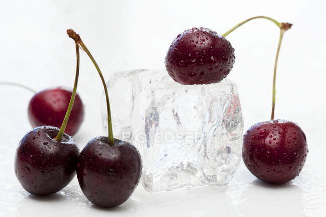Red cherries with ice cube — Stock Photo