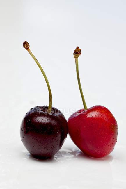 Par de cerezas frescas maduras - foto de stock