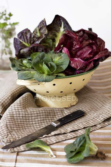 Tipi assortiti di radicchio in un colino su ciotola sopra tavolo con asciugamano e coltello — Foto stock