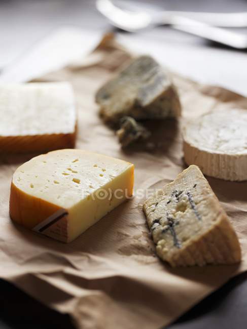 Différents types de fromages — Photo de stock