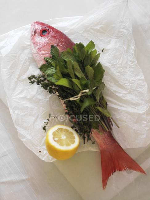 Red Snapper Tied with Mint and Thyme — Stock Photo