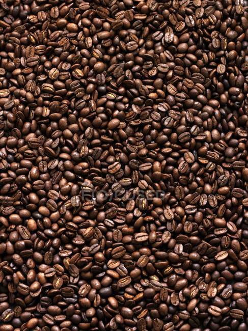 Жареный кофе в зернах — стоковое фото