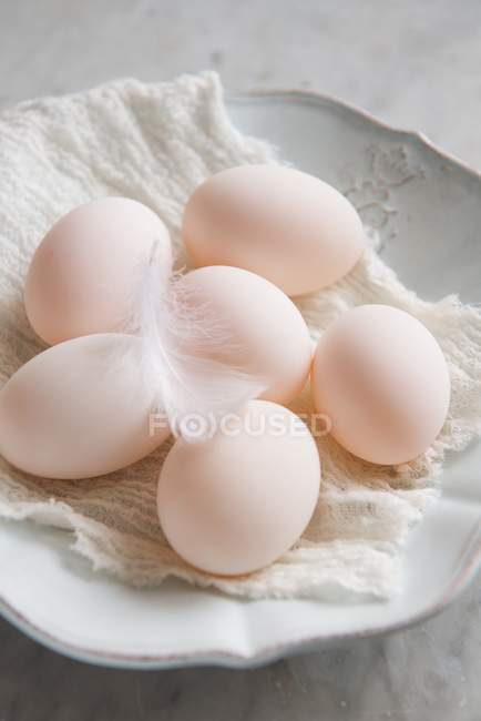 Huevos blancos de pato con pluma - foto de stock