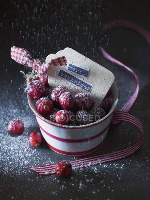 Cranberries with icing sugar in pot — Stock Photo