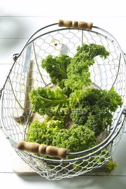 Fresh Kale in wire basket — Stock Photo