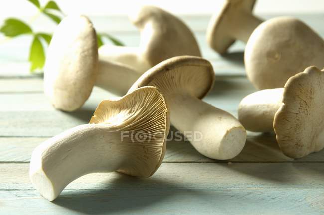 Vue rapprochée des champignons frais de la trompette royale sur la surface en bois — Photo de stock