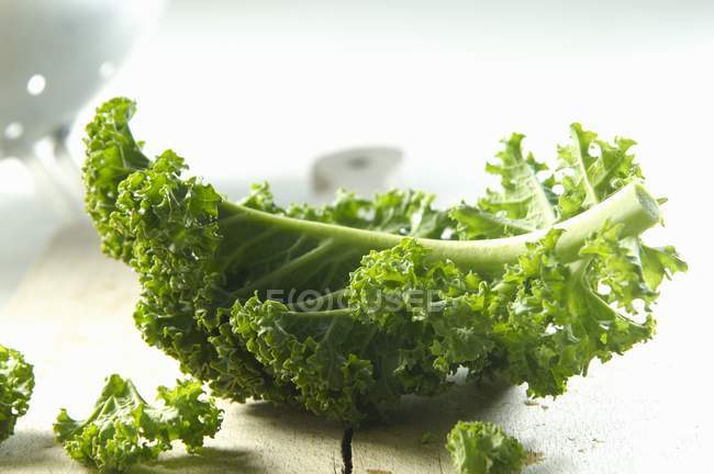 Fresh Kale leaves — Stock Photo