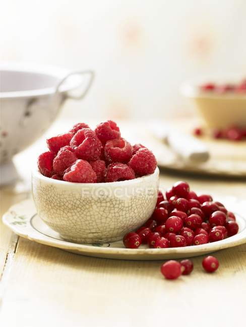 Fresh raspberries and cranberries — Stock Photo