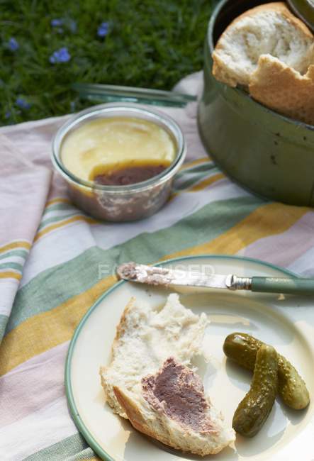A baguette with liver pt and gherkins on towel over grass outdoors — Stock Photo