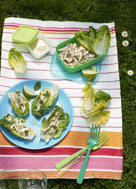 Elevated view of chicken salad on striped picnic blanket — Stock Photo