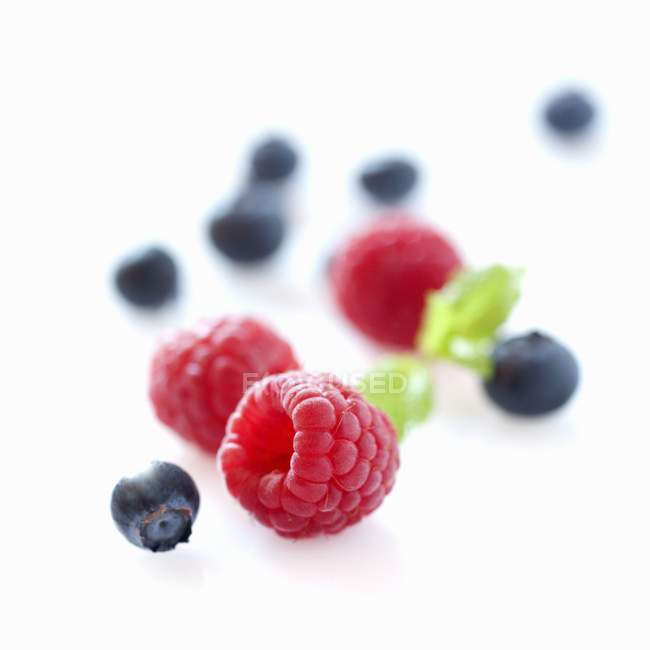 Raspberries and blackberries with leaves — Stock Photo
