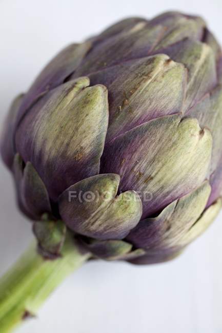 Carciofo viola fresco — Foto stock