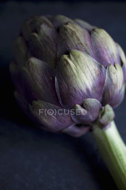 Artichaut violet frais — Photo de stock