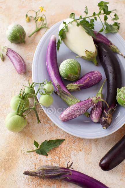 Fresh striped eggplants — Stock Photo