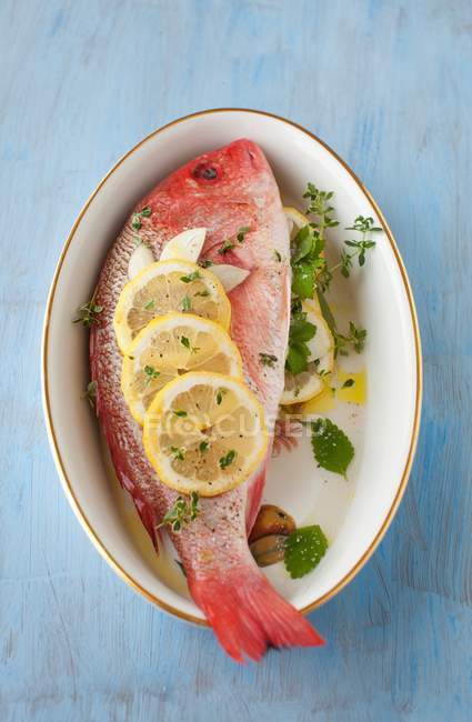 Fresh trout with lemon and parsley — Stock Photo