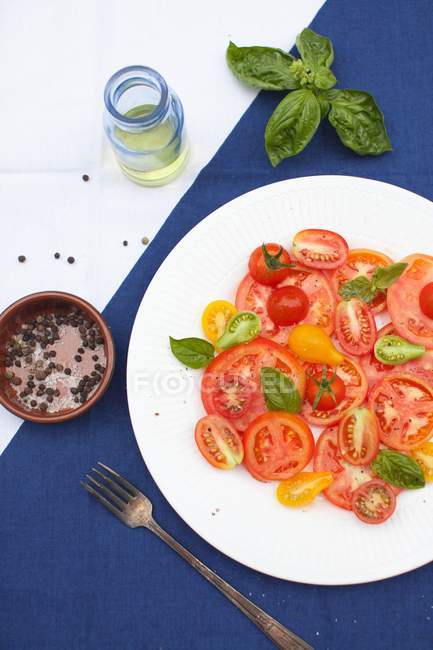 Fresh Tomato Salad on white plate over blue towel with fork — Stock Photo