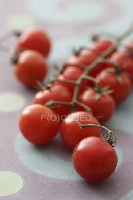 Pomodori ciliegia su vite — Foto stock