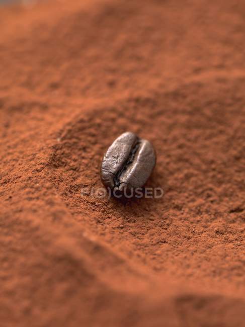 Fève de moka en poudre de cacao — Photo de stock
