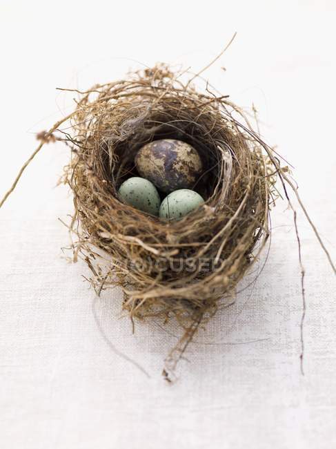 Крупный план перепелиных яиц с марципановым яйцом в пасхальном гнезде — стоковое фото