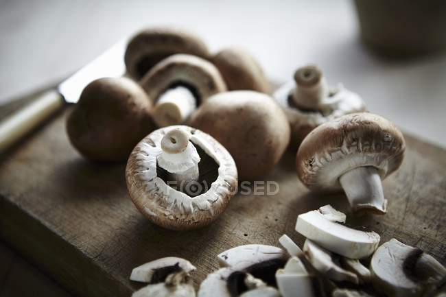 Funghi di pulsante freschi — Foto stock