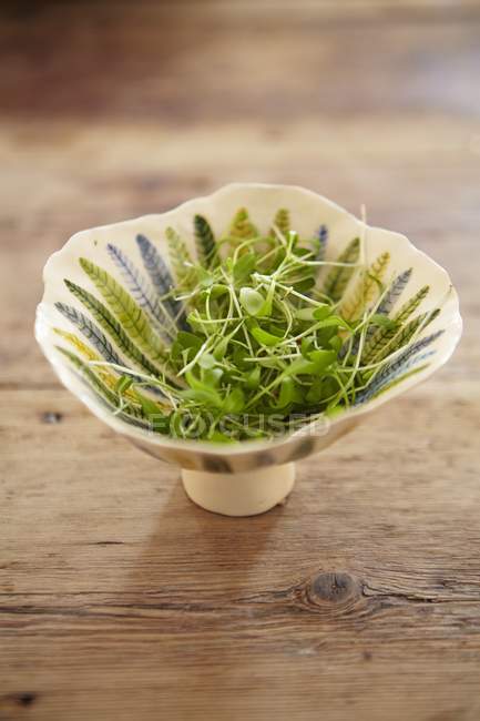 Fresh cress in ceramic bowl — Stock Photo