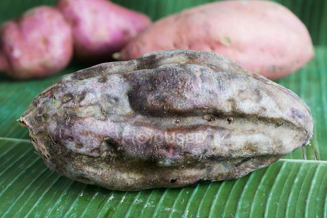 Sweet potatoes on leaf — Stock Photo