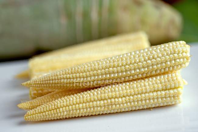 Peeled corn cobs — Stock Photo