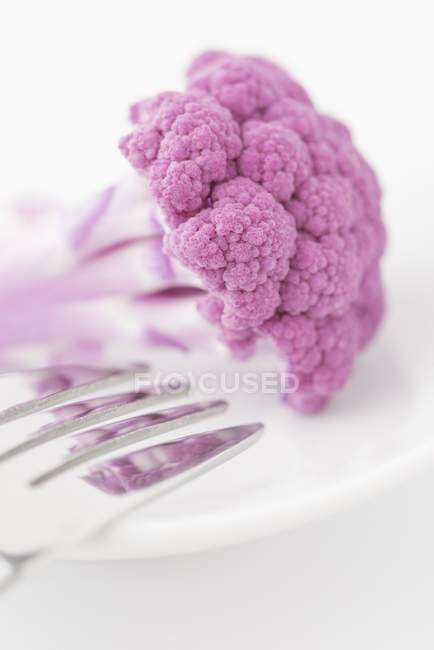 Flor de coliflor rosa con tenedor - foto de stock