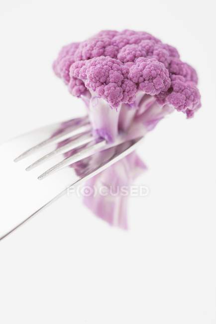 Flor de couve-flor rosa em garfo — Fotografia de Stock