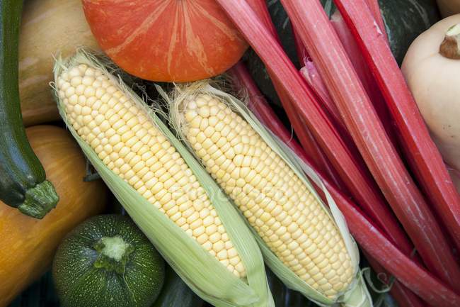 Espigas de milho frescas com ruibarbo e legumes — Fotografia de Stock