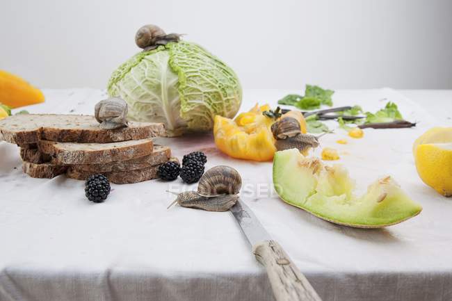 Still life featuring vegetables — Stock Photo