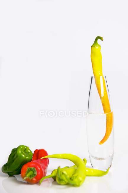 Colorful fresh peppers — Stock Photo