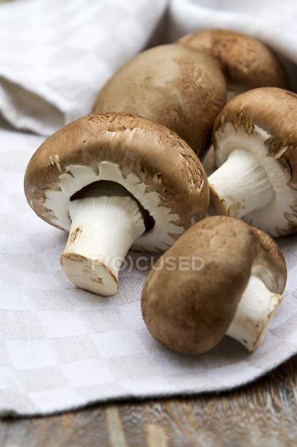 Fresh chestnut mushrooms — Stock Photo