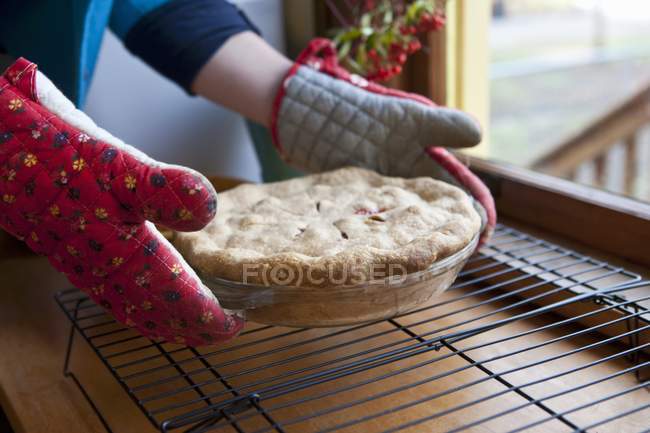 Mãos femininas segurando torta de cereja — Fotografia de Stock