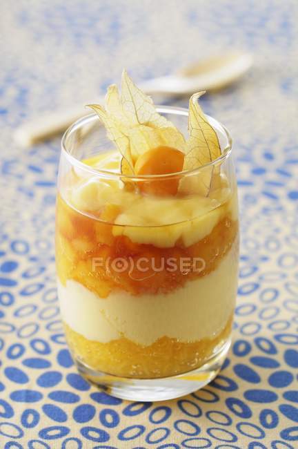 Многослойный десерт из абрикосов — стоковое фото