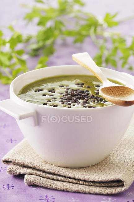 Lentilha e sopa de espinafre — Fotografia de Stock