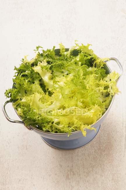 Fresh Frise lettuce in colander — Stock Photo