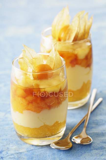 Dessert en couches avec abricots — Photo de stock